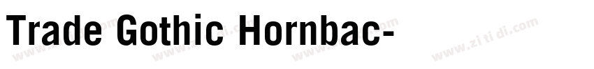 Trade Gothic Hornbac字体转换